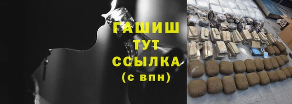 гидра Абаза