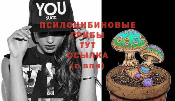 гидра Абаза