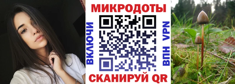 даркнет состав  Туринск  Галлюциногенные грибы Psilocybine cubensis 