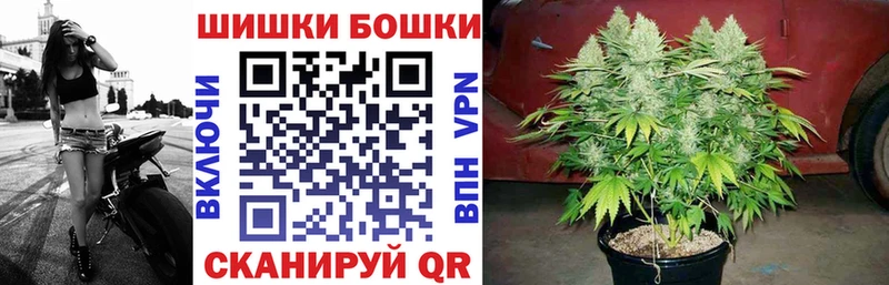 Бошки Шишки Amnesia  Туринск 